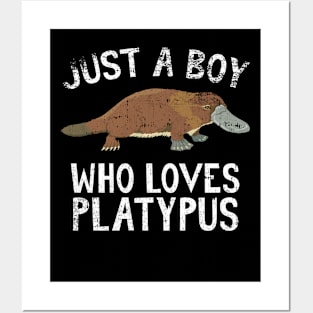 Just A Boy Who Loves Platypus Posters and Art